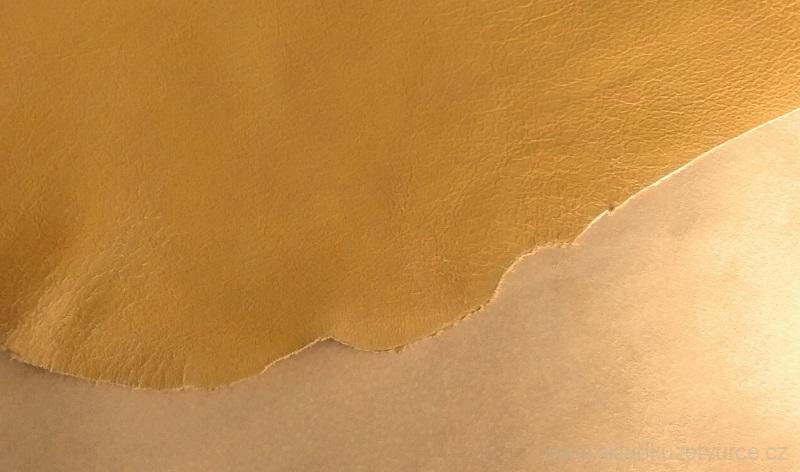 Vepřovice SAHARA lícová č.34