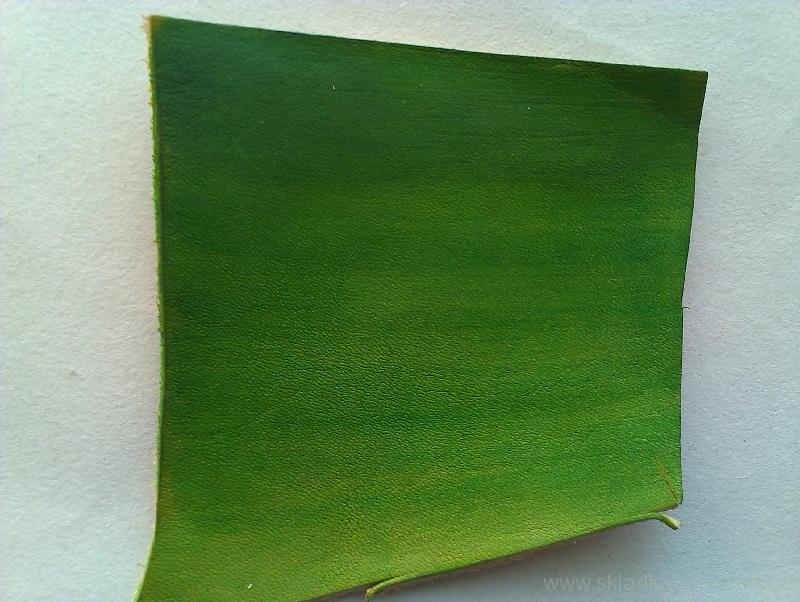 Barva na kůži domašťující-zeleň listová 0,25 l